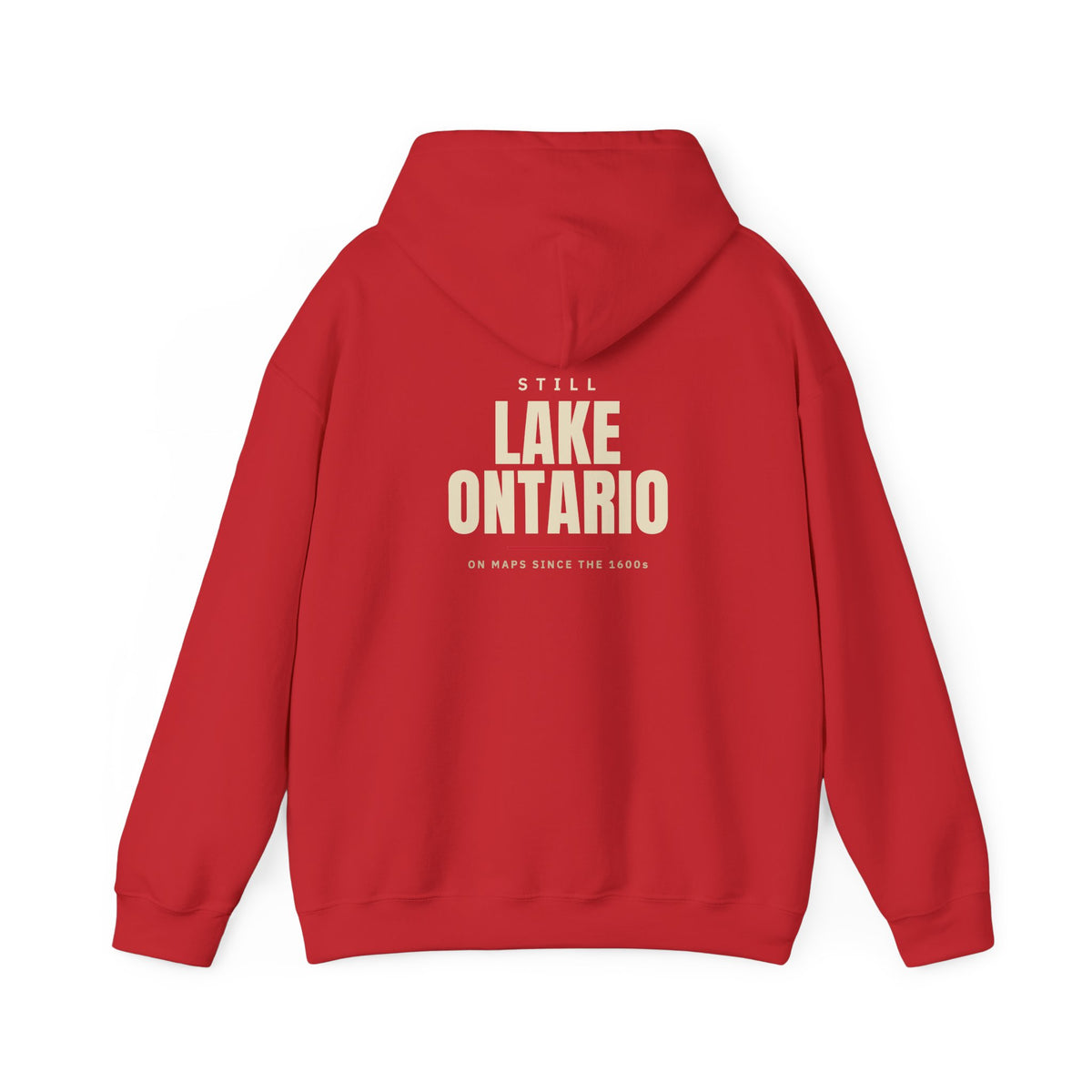 Still Lake Ontario Back Print Hoodie