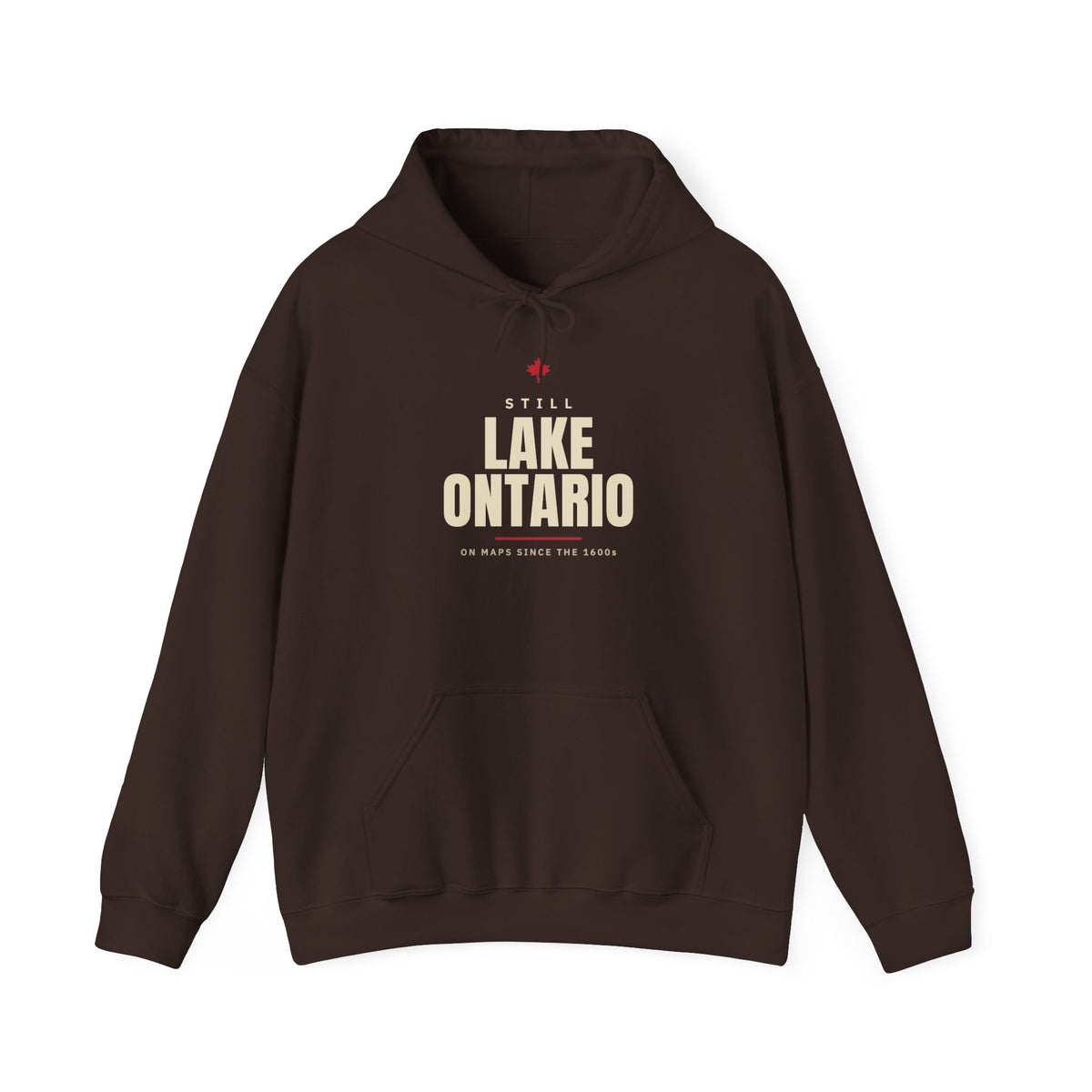 Brown hoodie with "Still Lake Ontario" and map date text.