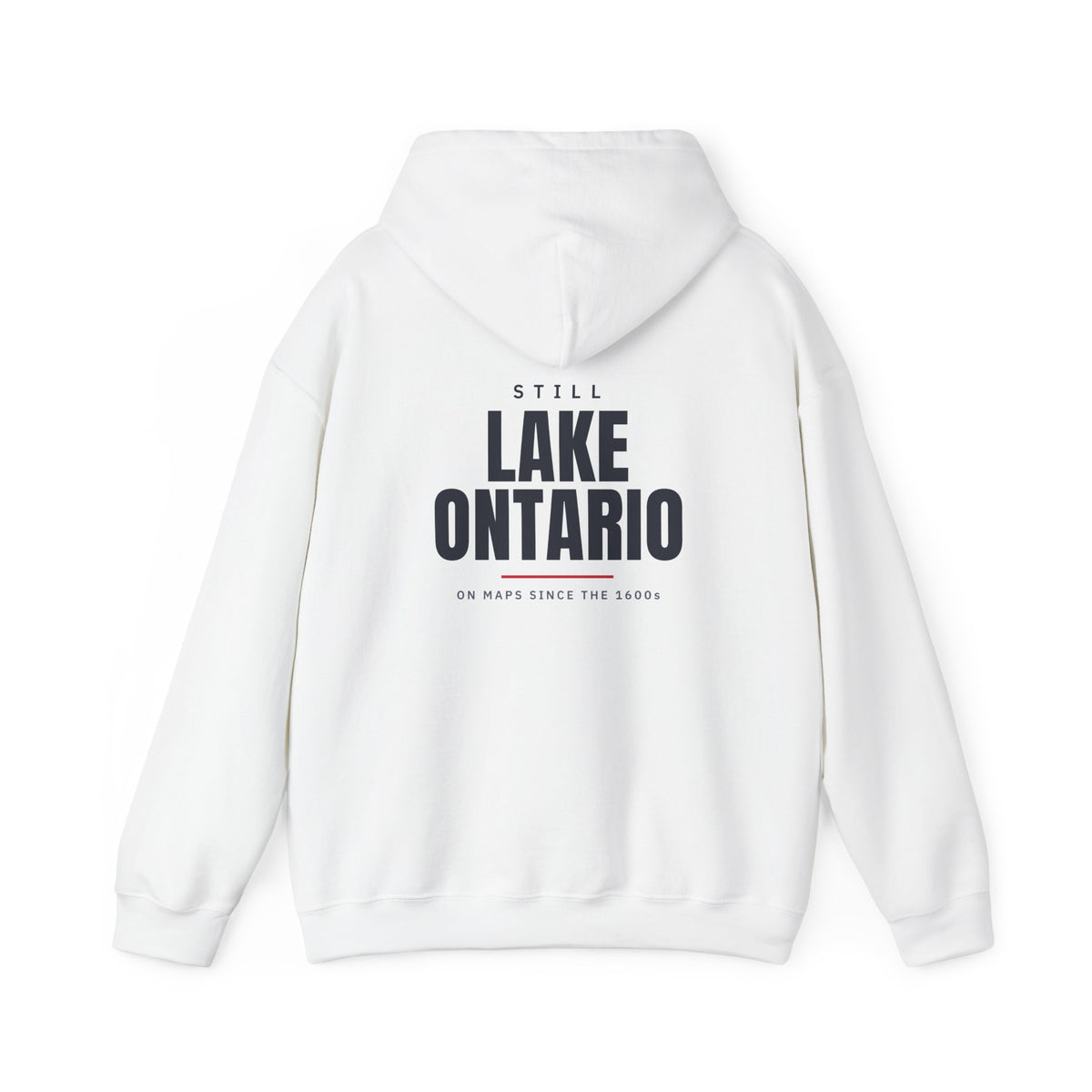 Still Lake Ontario Back Print Hoodie