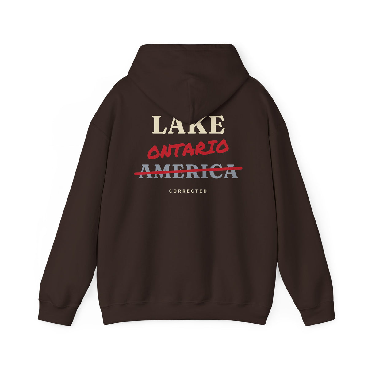 Lake Ontario Corrected Back Print Hoodie