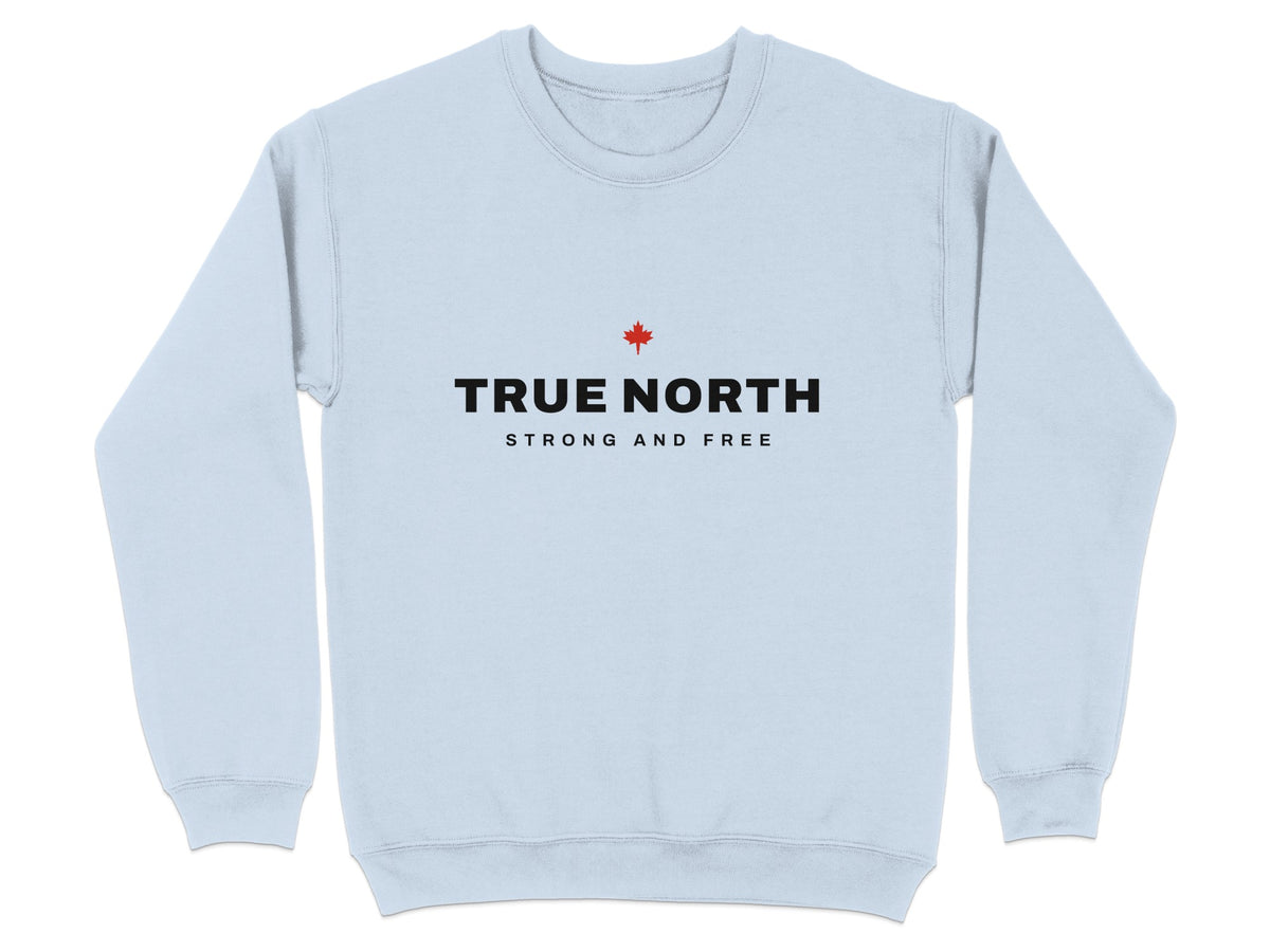 Light blue sweatshirt with "TRUE NORTH" and "STRONG AND FREE" text.