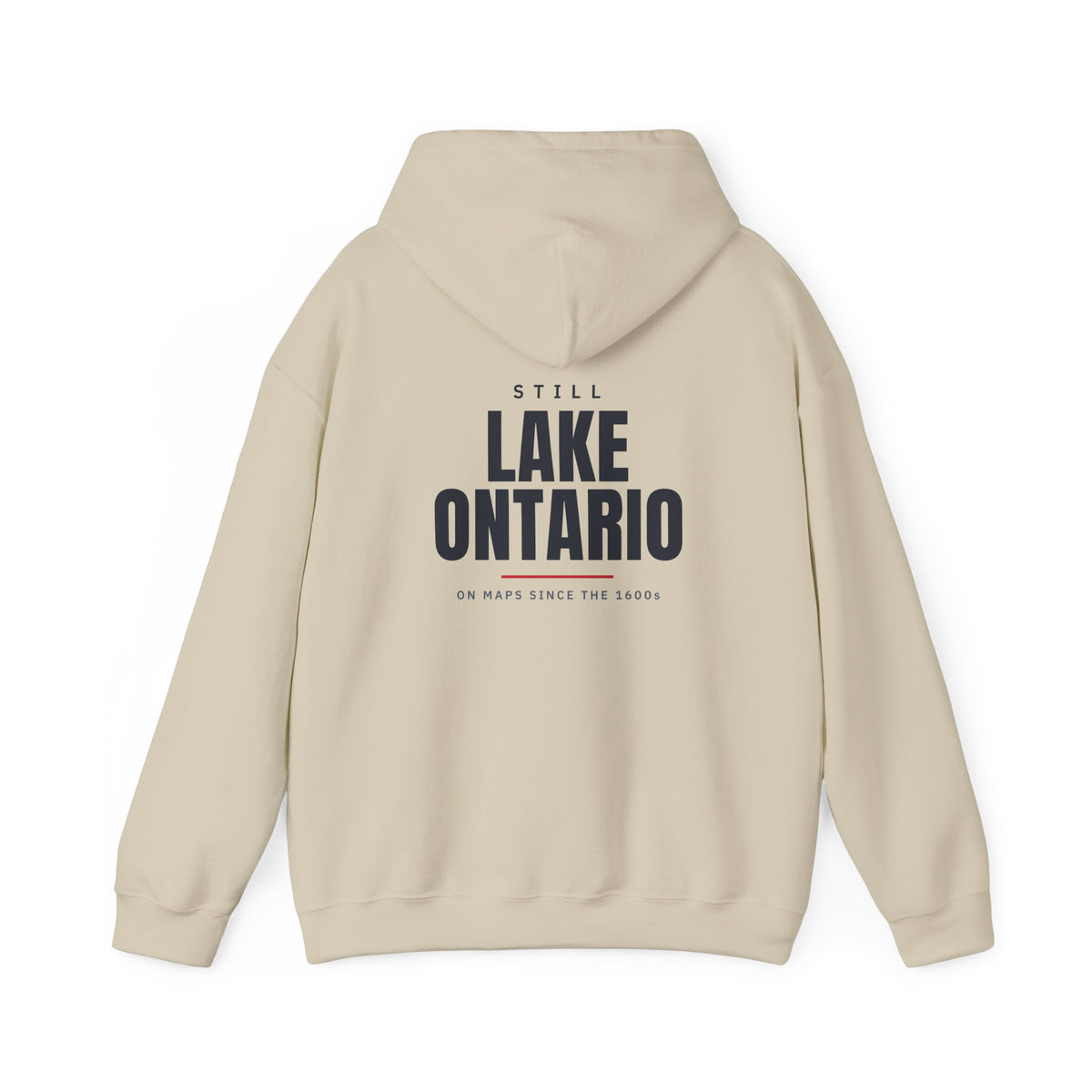 Still Lake Ontario Back Print Hoodie