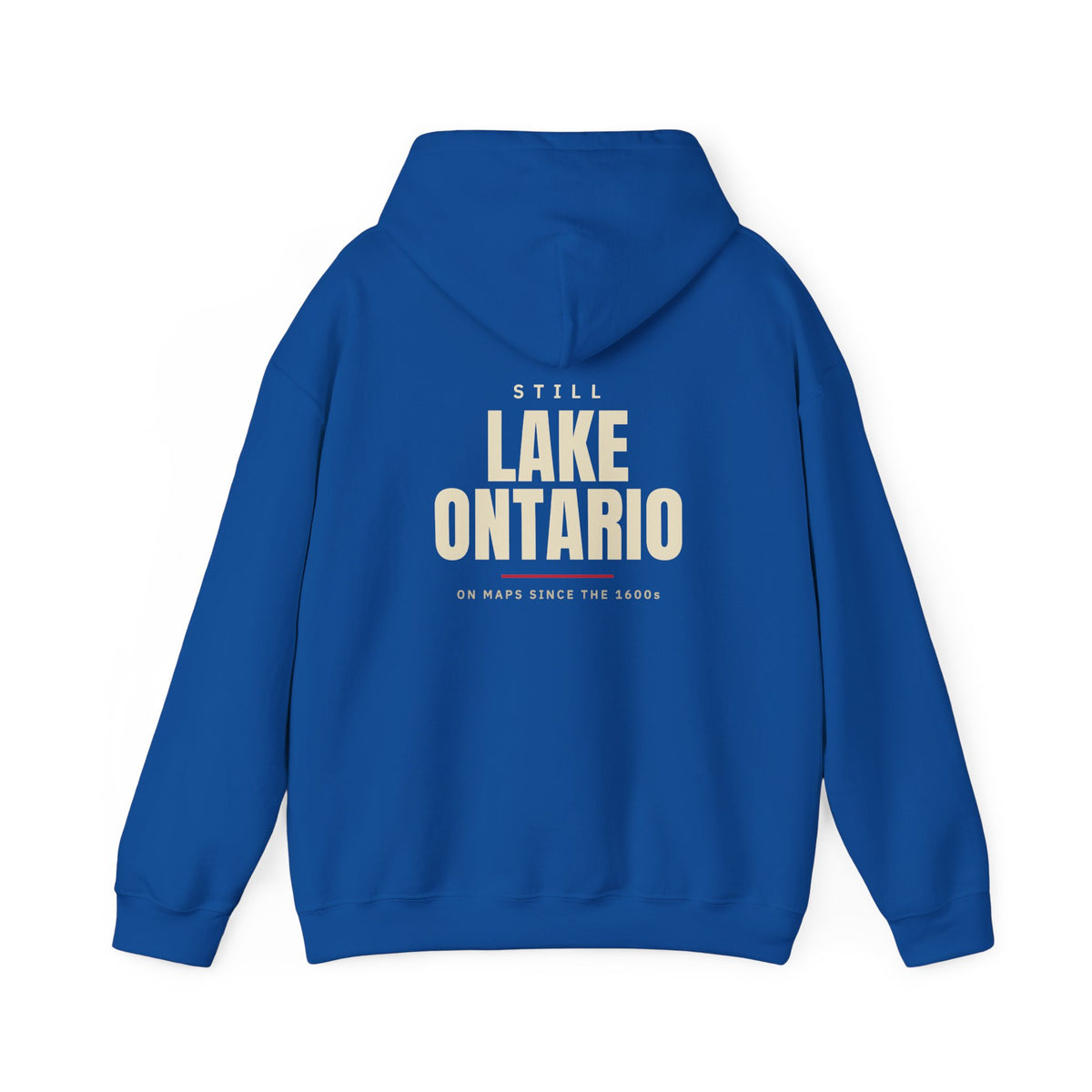 Still Lake Ontario Back Print Hoodie
