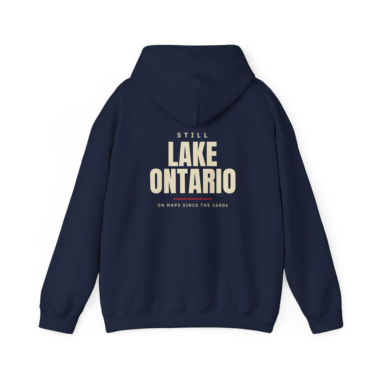 Still Lake Ontario Back Print Hoodie