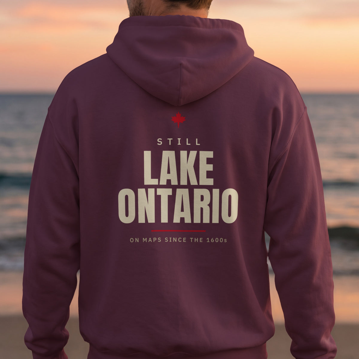 Still Lake Ontario Back Print Hoodie