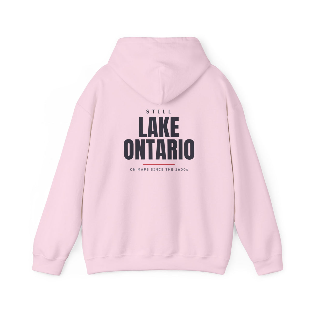 Still Lake Ontario Back Print Hoodie