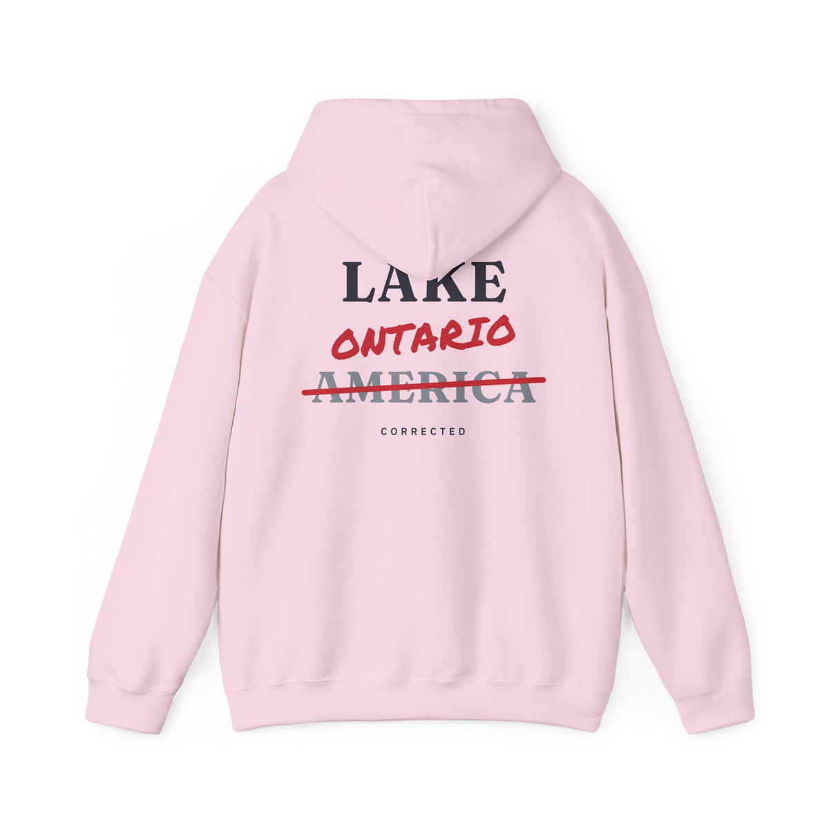 Lake Ontario Corrected Back Print Hoodie