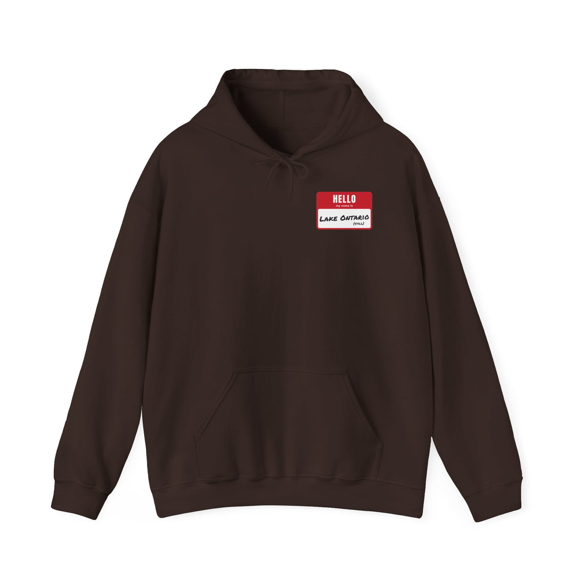 Brown hoodie with a red name tag that reads "HELLO my name is LAKE ONTARIO (STILL)".