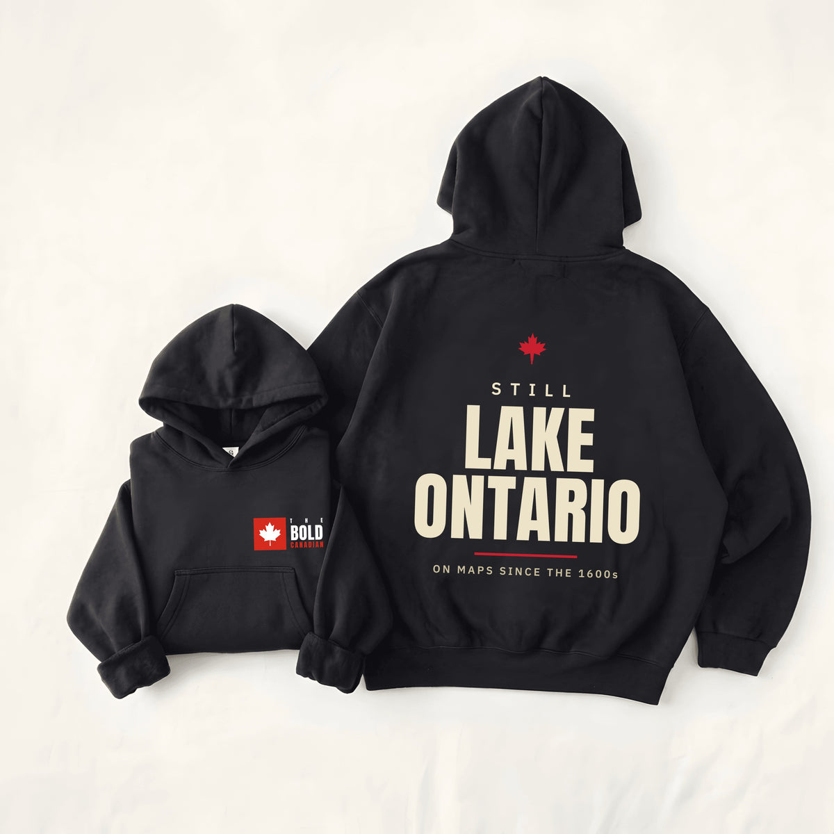 Still Lake Ontario Back Print Hoodie