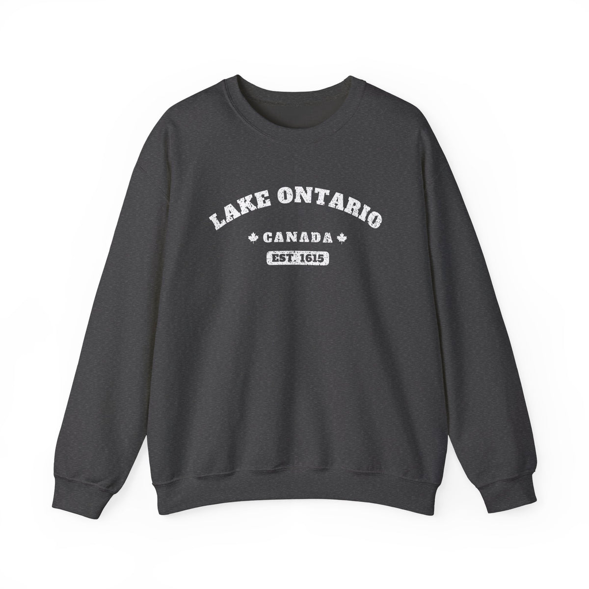 Dark grey sweatshirt with white text: Lake Ontario, Canada, Est. 1615.