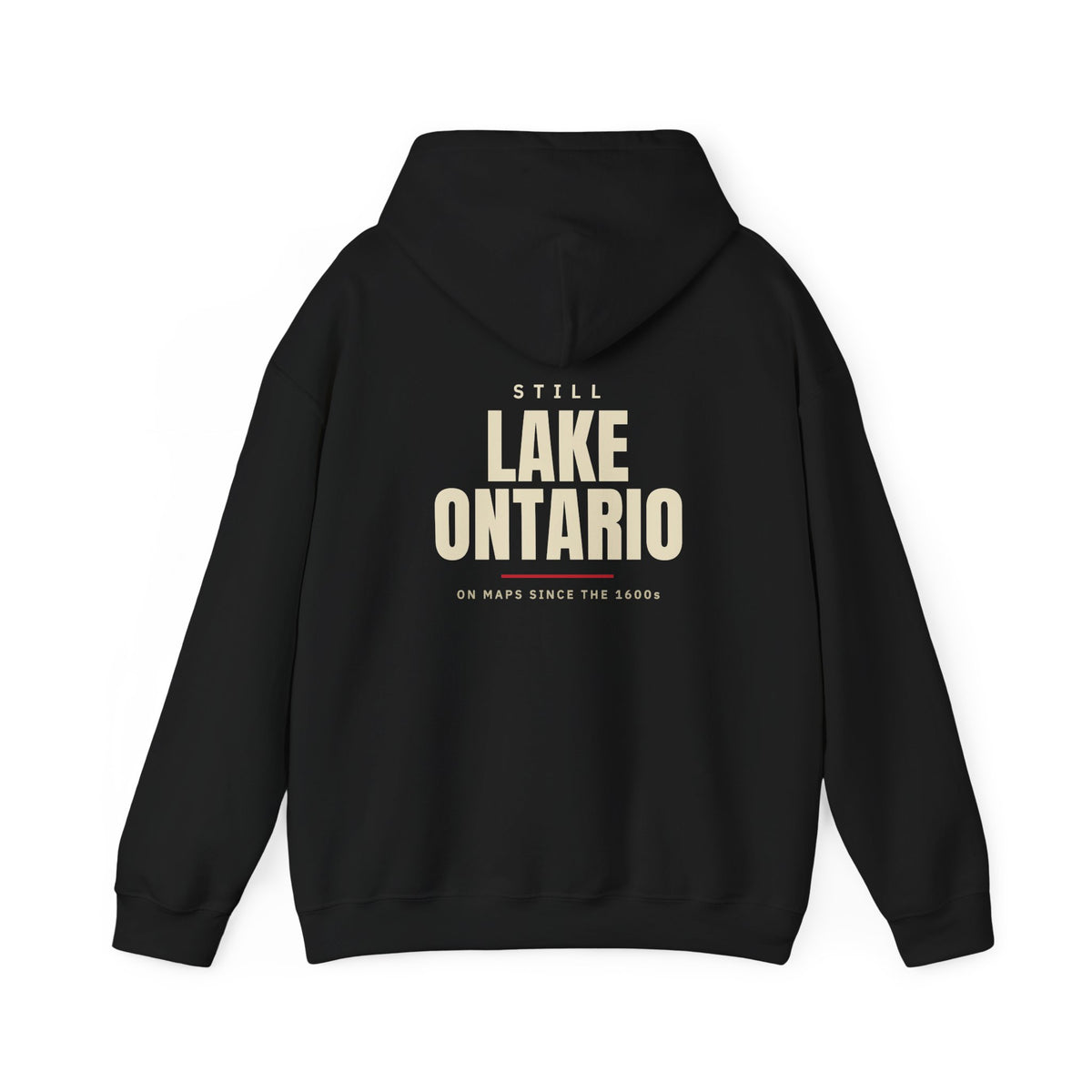 Still Lake Ontario Back Print Hoodie