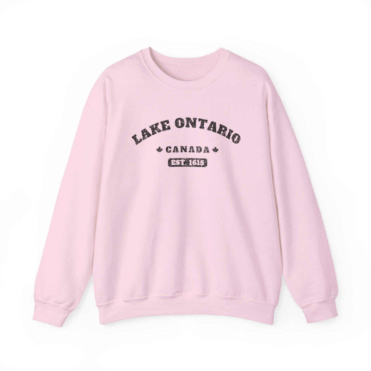 Pink sweatshirt with "Lake Ontario Canada Est. 1615" graphic.