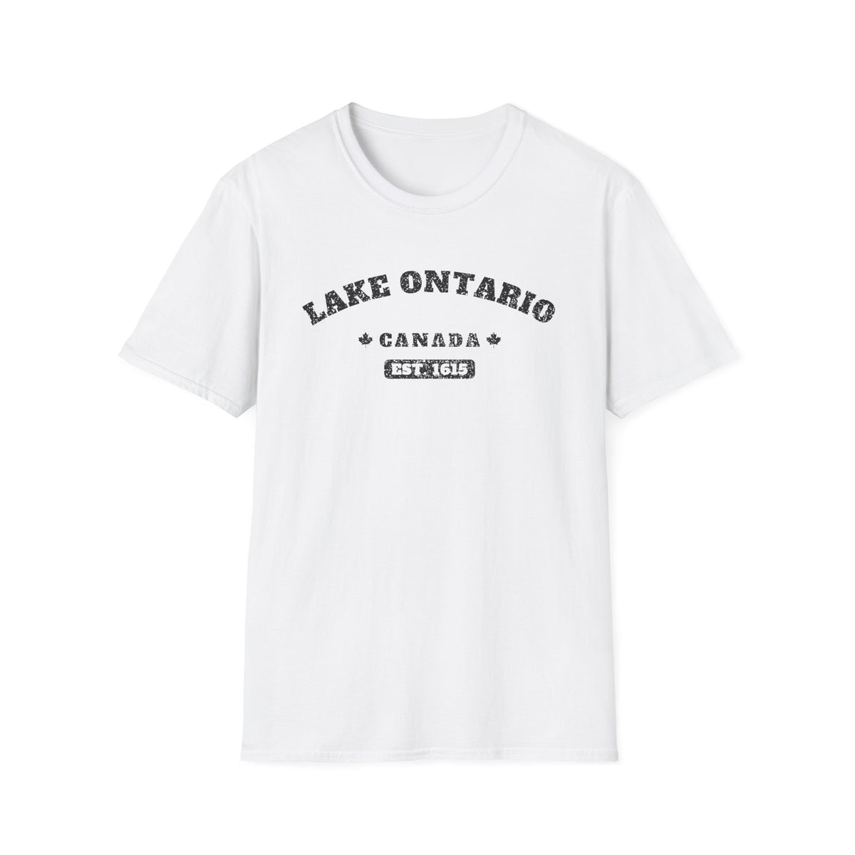 White t-shirt with "Lake Ontario Canada Est. 1615" distressed print.