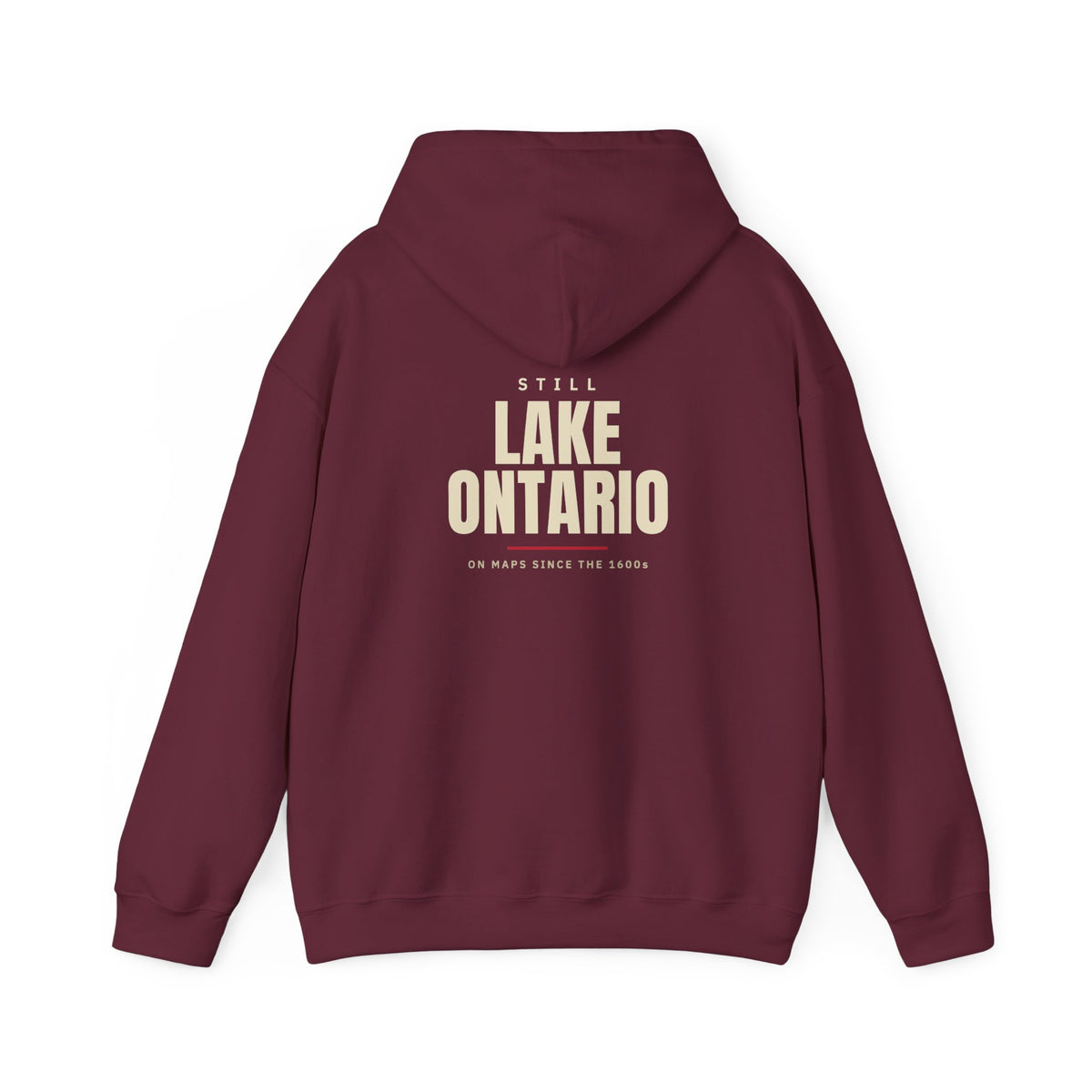 Still Lake Ontario Back Print Hoodie